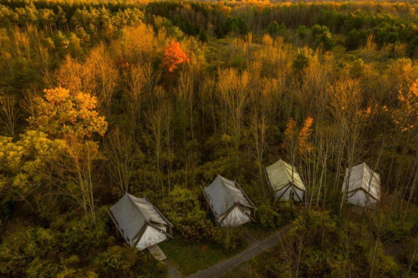 firelight camp overview